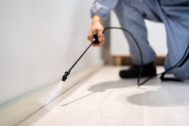 Rodent Entry Point Assessment in Coconut Creek