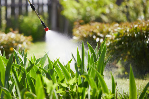 Tamper-Resistant Bait Stations for Rodents in Coconut Creek