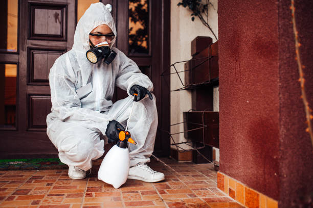 Attic and Crawl Space Rodent Treatment in Coconut Creek