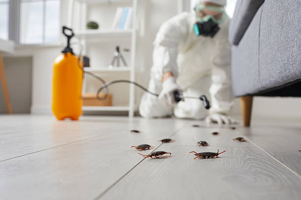 Commercial Rodent Management in Coconut Creek